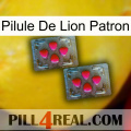 Boss Lion Pill 14